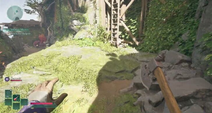 Avowed - Outpost Ladder