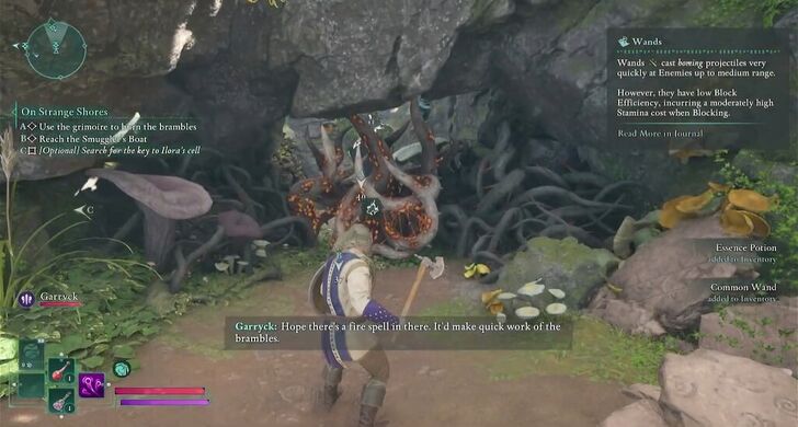 Avowed - Second Bramble