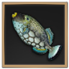 Blue Filefish Icon
