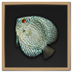 Discus Icon