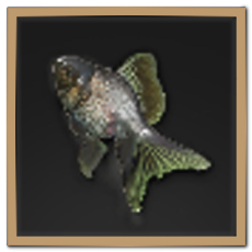 Heliber Goldfish Icon
