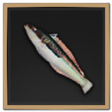 Rainbow Ray-Finned Fish Icon