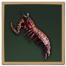 Mantis Shrimp Icon