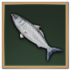 Kahawai Icon