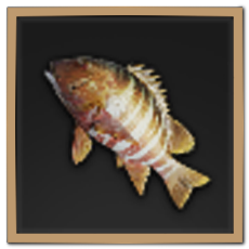Stripped Crimson Seabream Icon