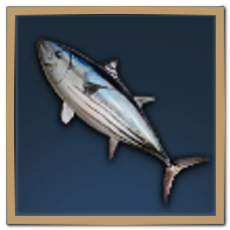 Skipjack Tuna Icon