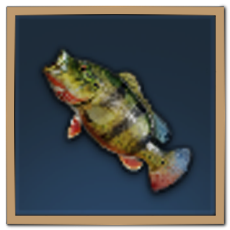 Peacock Bass Icon