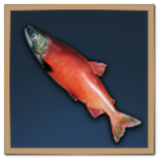 Red Salmon Icon