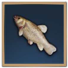 Lanquis Carp Icon