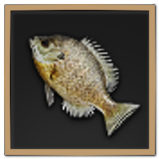 Bluegill Icon