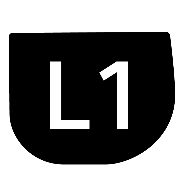 L1 button