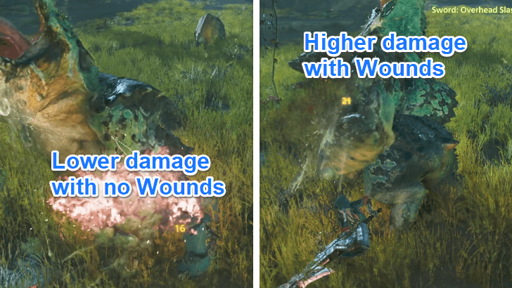 Damaging Wounds
