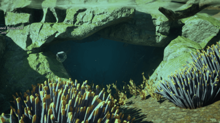 Avowed - Wind and Wave