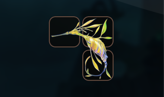 Leafy Seadragon Icon