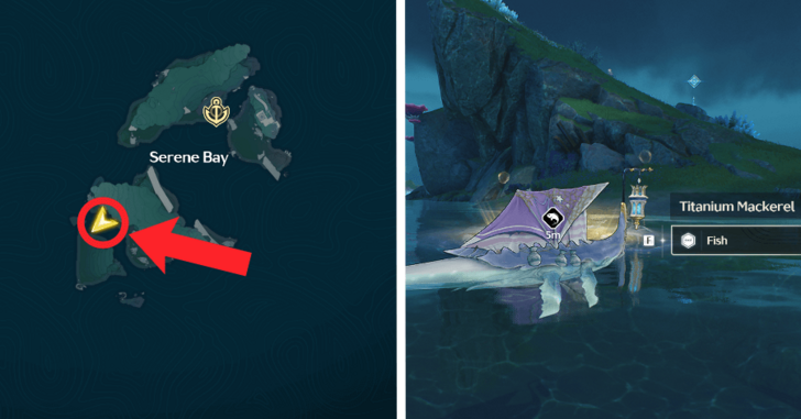 Titanium Mackerel Location