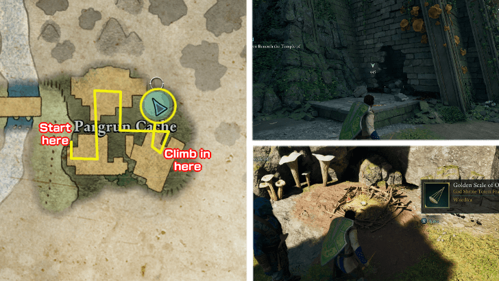 Avowed - Golden Scale of Order Location