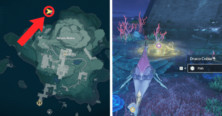 Draco Cobia Location.