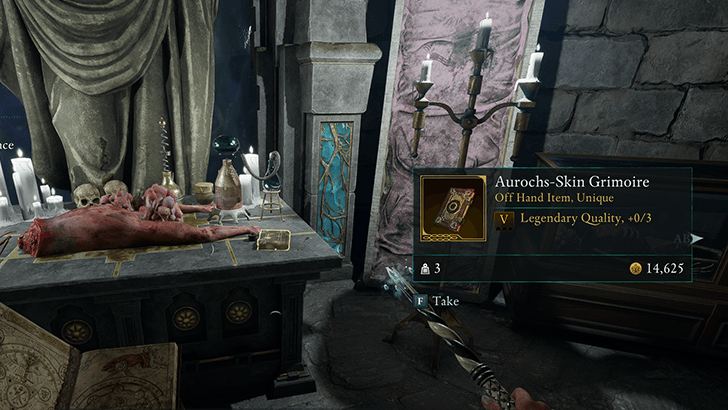 Aurochs-Skin Grimoire