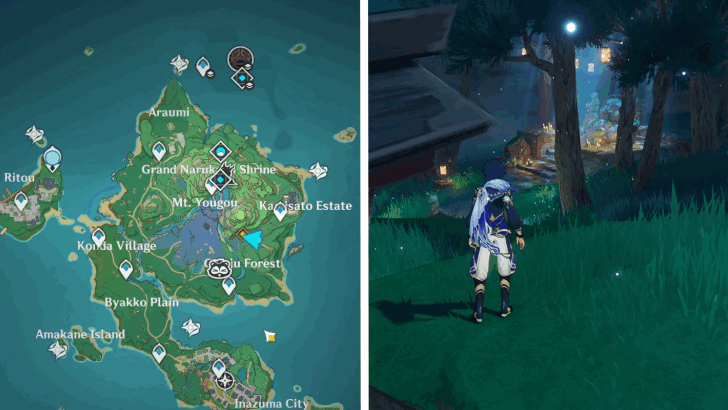 Pay Another Visit to Ioroi