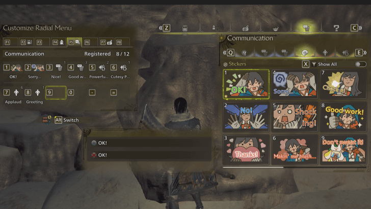 Set Radial Menu Option
