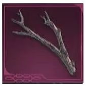 Avowed -  Blackwood Branch