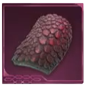 Avowed -  Balarok Skin