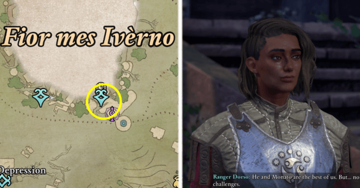 Avowed - Steel Resolve Ranger Dorso