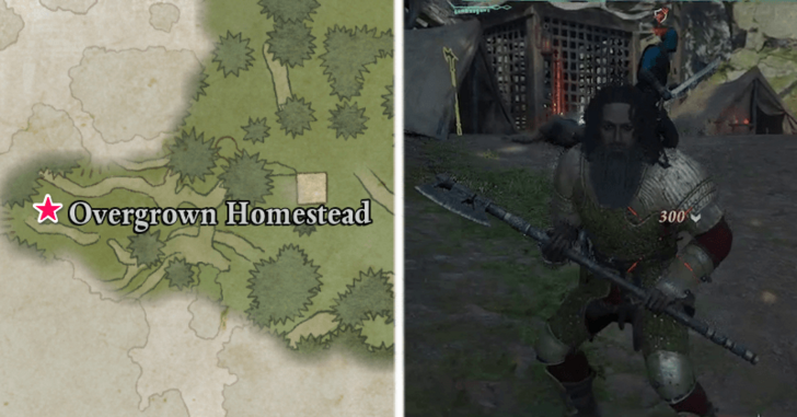 Avowed - The Trantons Tree of Life