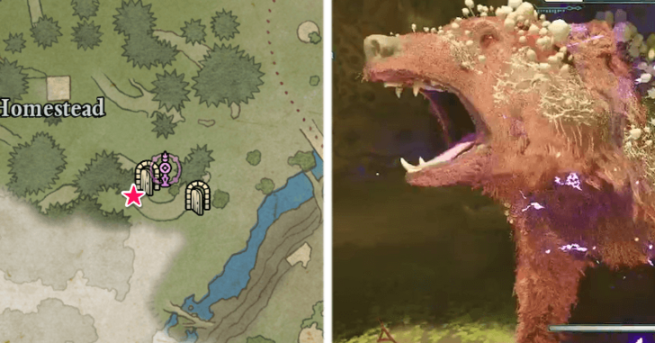 Avowed - Old Nuna Tree of Life