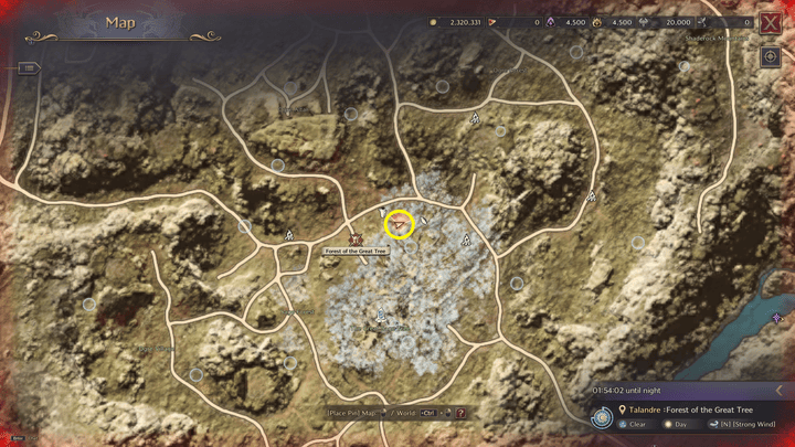 Throne and Liberty - Adriana