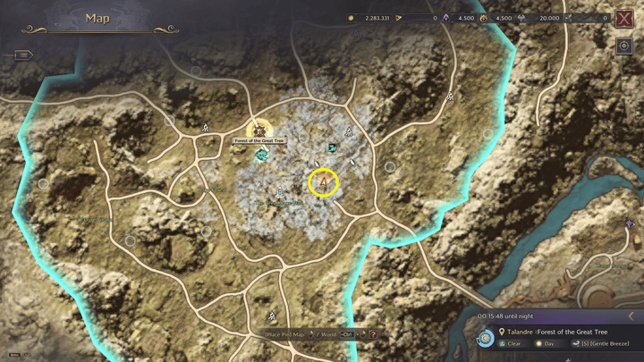 Throne and Liberty - An Elven Wizard