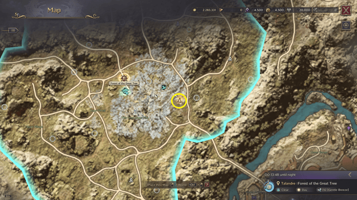 Throne and Liberty - An Elven Wizard