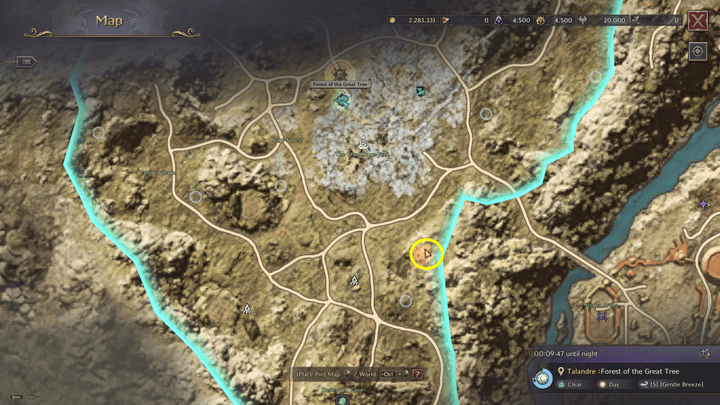 Throne and Liberty - An Elven Wizard