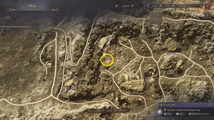 Throne and Liberty - King Khanazaizin