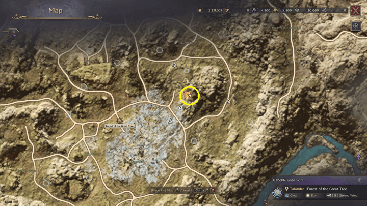 Throne and Liberty - The Ritual of Sending Spirits