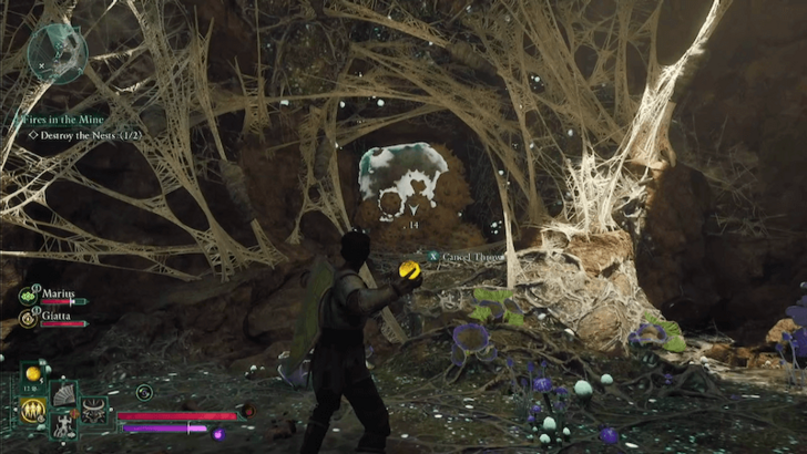 Avowed - Second Spider Eggs