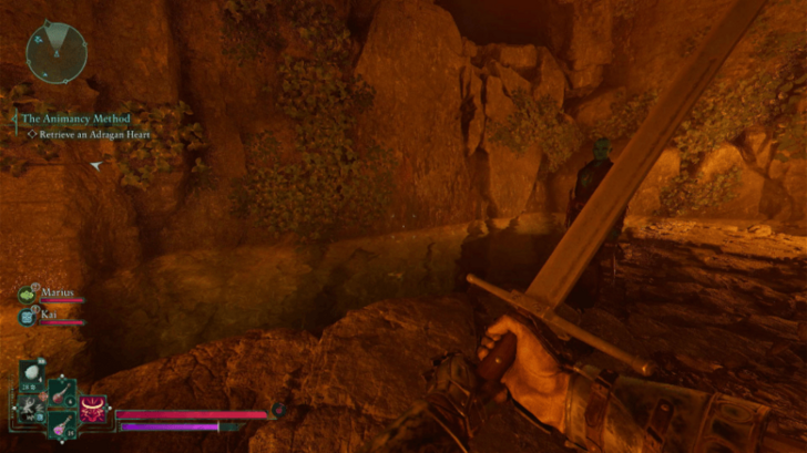 Water inside the First Room