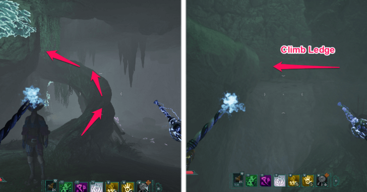 Avowed - Climb the Large Root in Belderreno