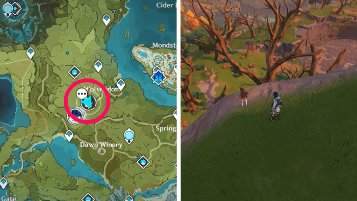 Genshin - Amber Location 5