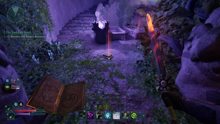 Avowed - The Sinkhole Stroll Quest Items