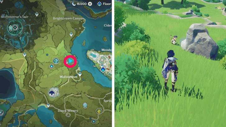 Genshin - Diona Location 3