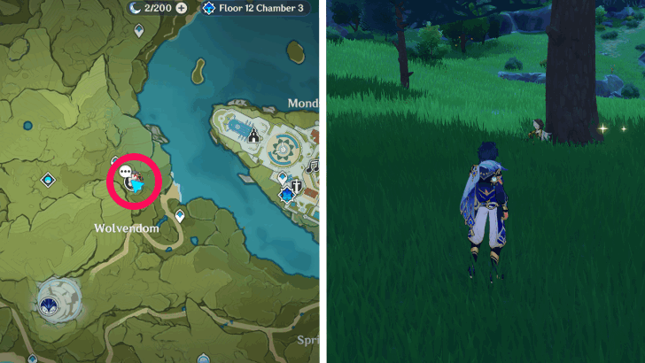 Genshin - Diona Location 4