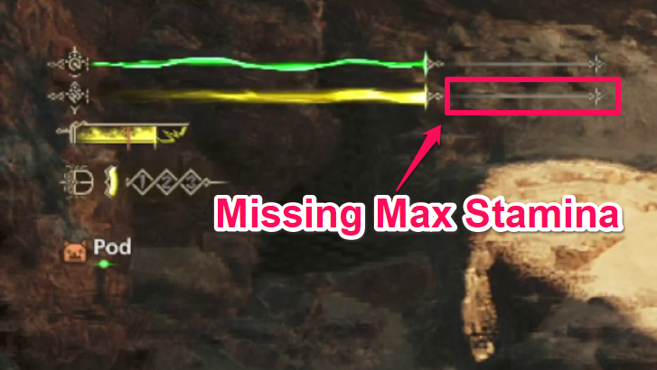 Maximum Stamina Decreases Over Time