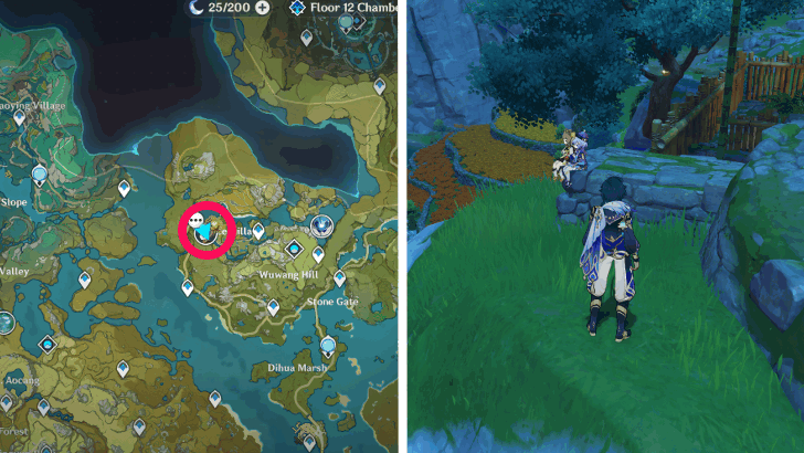 Genshin - Yaoyao Location 2