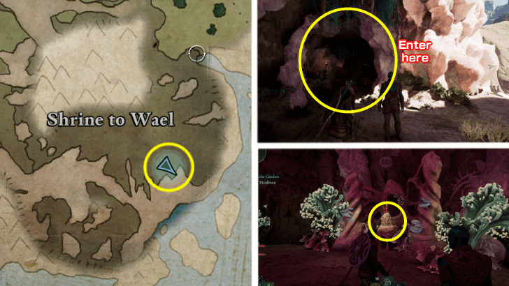 Avowed - Eyes of the Obscured Totem Base Location