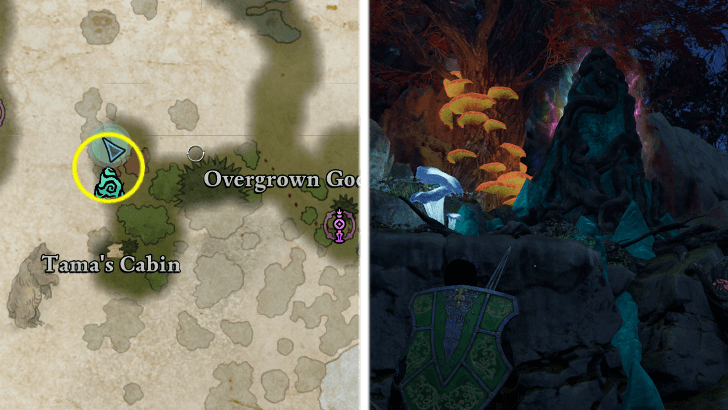 Avowed - Strangled Adra in Emerald Stair