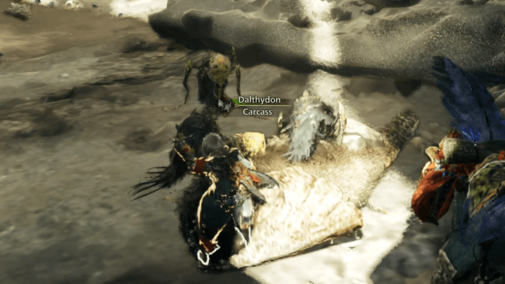 Monster Hunter Wilds - Small Monsters