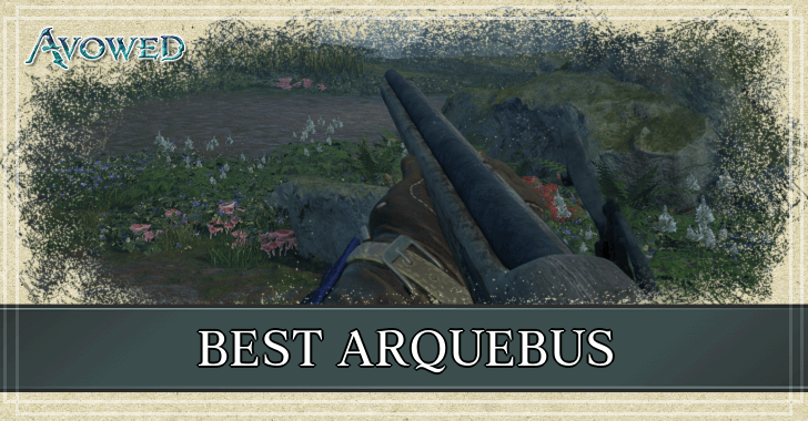 Avowed Best Arquebus