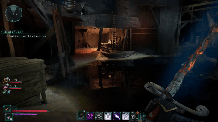 Avowed - Waterlogged Area Ladder