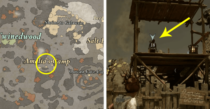 Avowed - Wardens Warding Amalia Location